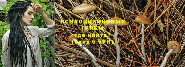 каннабис Алексин